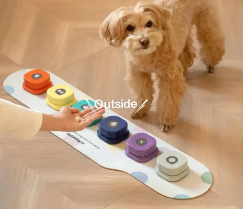 Voice Recording Button