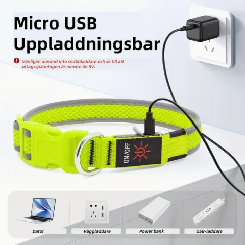 LED Hundhalsbandslampor